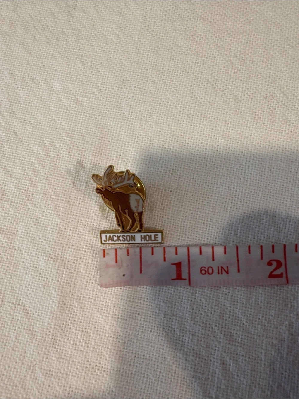 Jackson Hole Pin